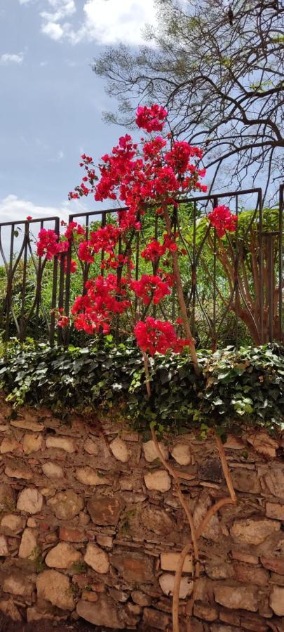 B&B Akropolis Taormina Exterior photo